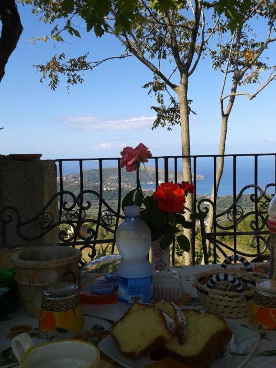 Antico Maniero Palinuro Acomodação com café da manhã Centola Exterior foto